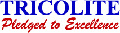 tricolite electrical industries limited