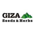 giza seeds herbs