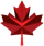 cic canadian international college