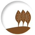 manifatture sigaro toscano srl