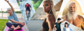 spine sport physical therapy