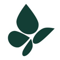 pieridae energy limited