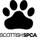 scottish spca