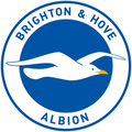 brighton hove albion football club