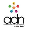 seccion amarilla