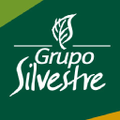 grupo silvestre