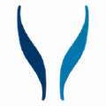 synlab_peru