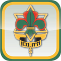 hebrew scouts movement in israel