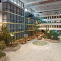 radisson hyderabad hitec city