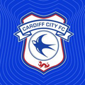 cardiff city football club