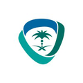 saip saudi authority for intellectual property