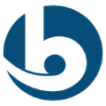 gruppo brandini