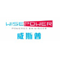 wisepower enterprise india private ltd