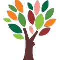 the center for youth and family solutions