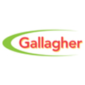 gallagher group ltd