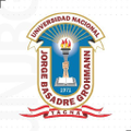 universidad nacional jorge basadre grohmann