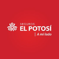 seguros el potosi