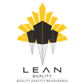 leanquality solutions i pvt ltd