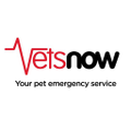 vets now
