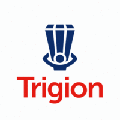 trigion security services ltd