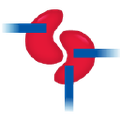 kidney care center