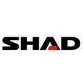 shad