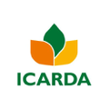 icarda international center for agricultural research in the dry areas
