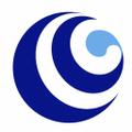 cogency global inc