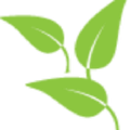 little leaves behavioral services