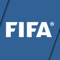 fifa world cup qatar 2022