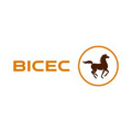 banque internationale du cameroun pour lepargne et le credit bicec