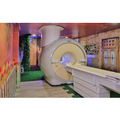 mahajan imaging labs