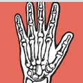 columbia orthopaedic group