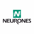 neurones
