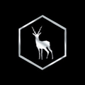 blackbucks group