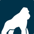 health gorilla
