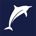 rbc brewin dolphin ireland