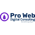 pro web consulting