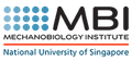 mechanobiology institute
