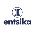 entsika consulting services
