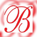 brilliance academy