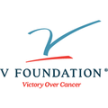 the v foundation