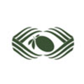 black olive ventures pvt ltd