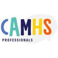 camhs professionals
