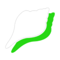 shellsquare softwares