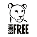 born free foundation