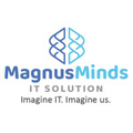 magnusminds it solution