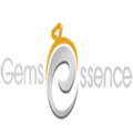 gems essence infotech pvt ltd