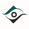 thirdeye consulting