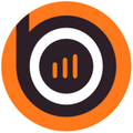 orangebits software technologies india pvt ltd